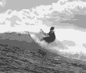 surf
